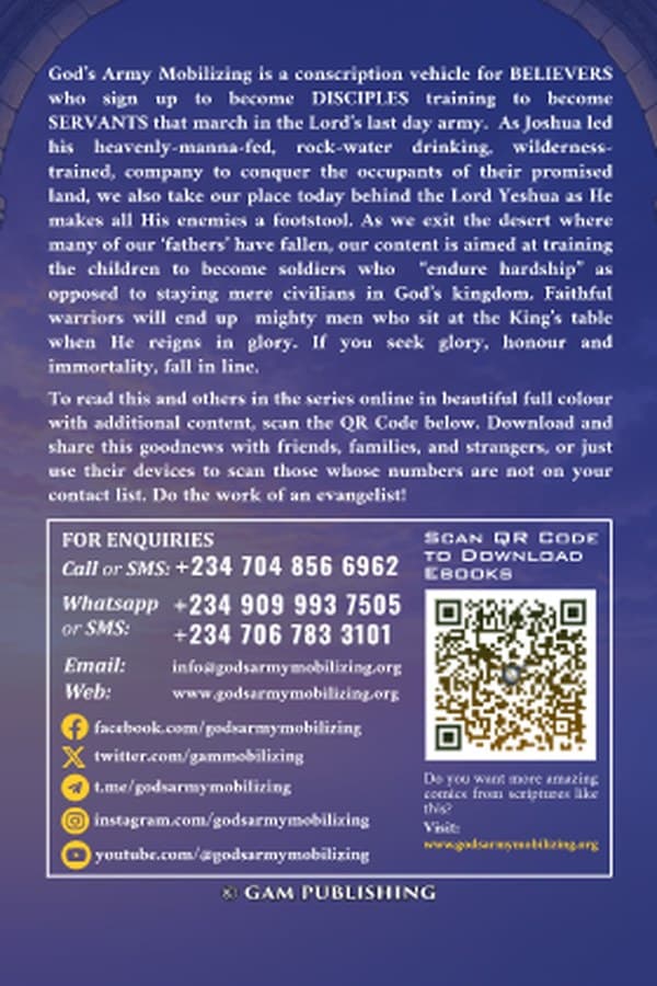 Back cover of Becoming Knight Baldwin